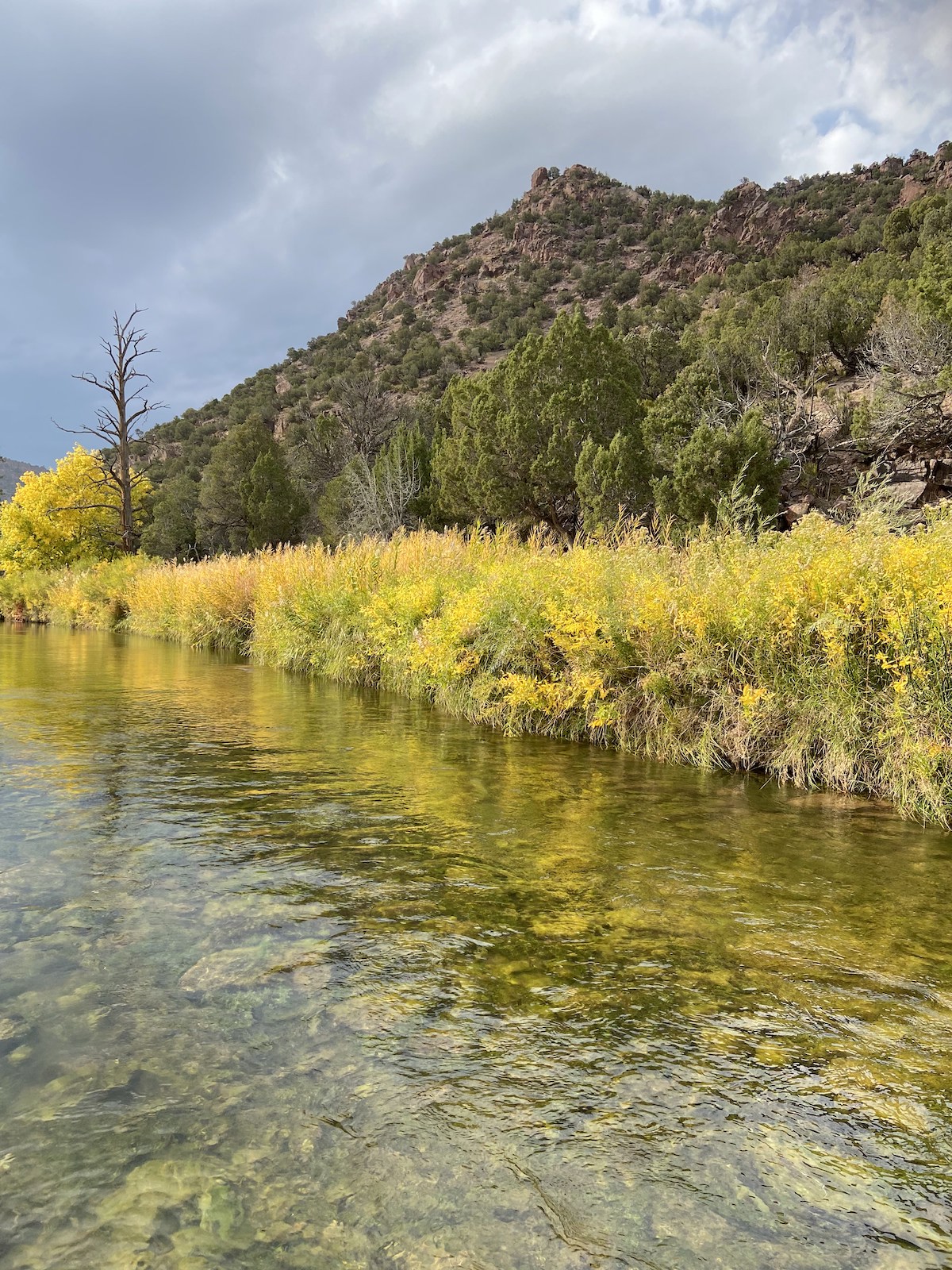 Clear, shallow river reflecting yellow autumn foliage along the bank, with green shrubs and a rocky hillside rising in the background under a partly cloudy sky.